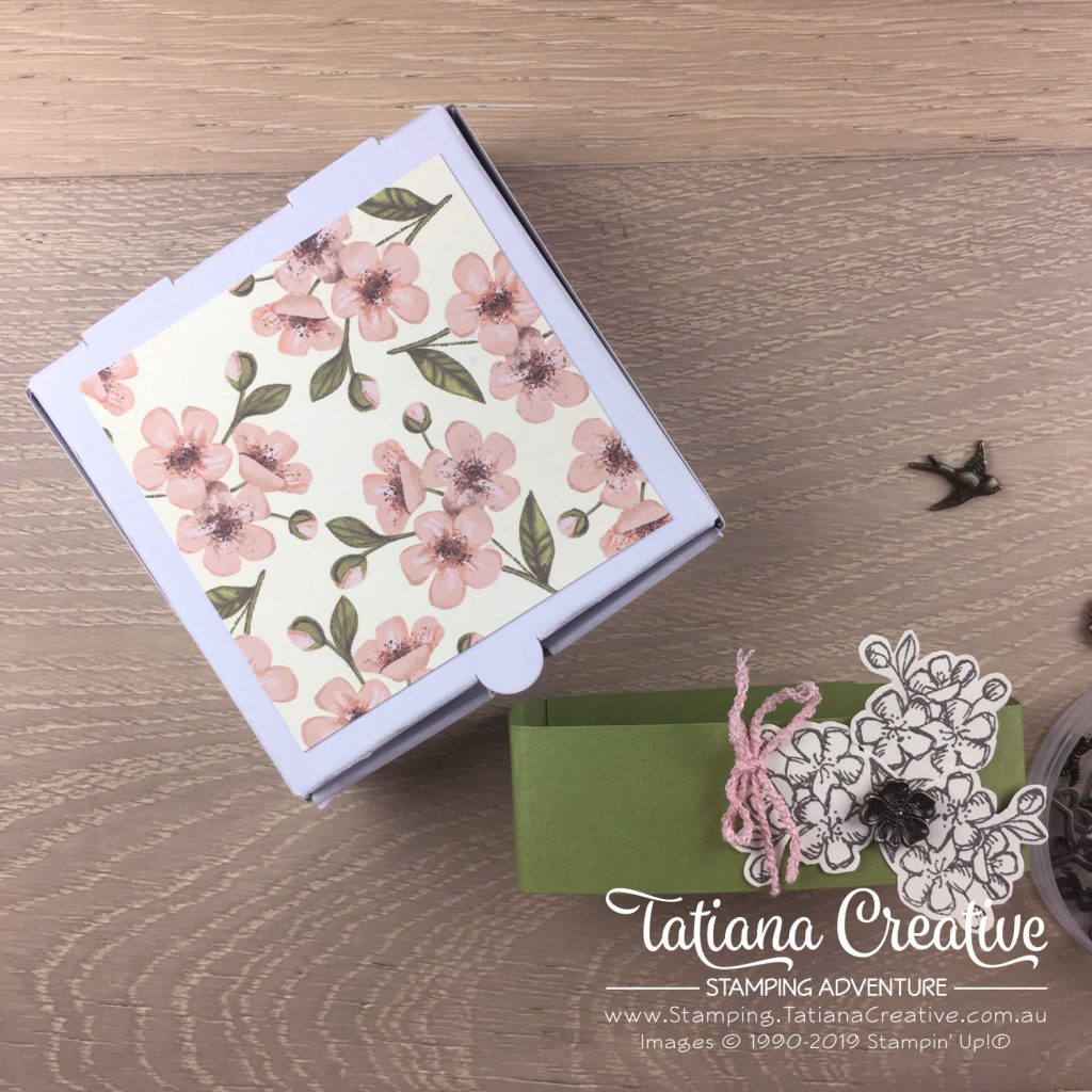 Tatiana Creative Stamping Adventure - Alternative Project using the May 2019 Paper Pumpkin Hugs From Shelli by Stampin' Up!®