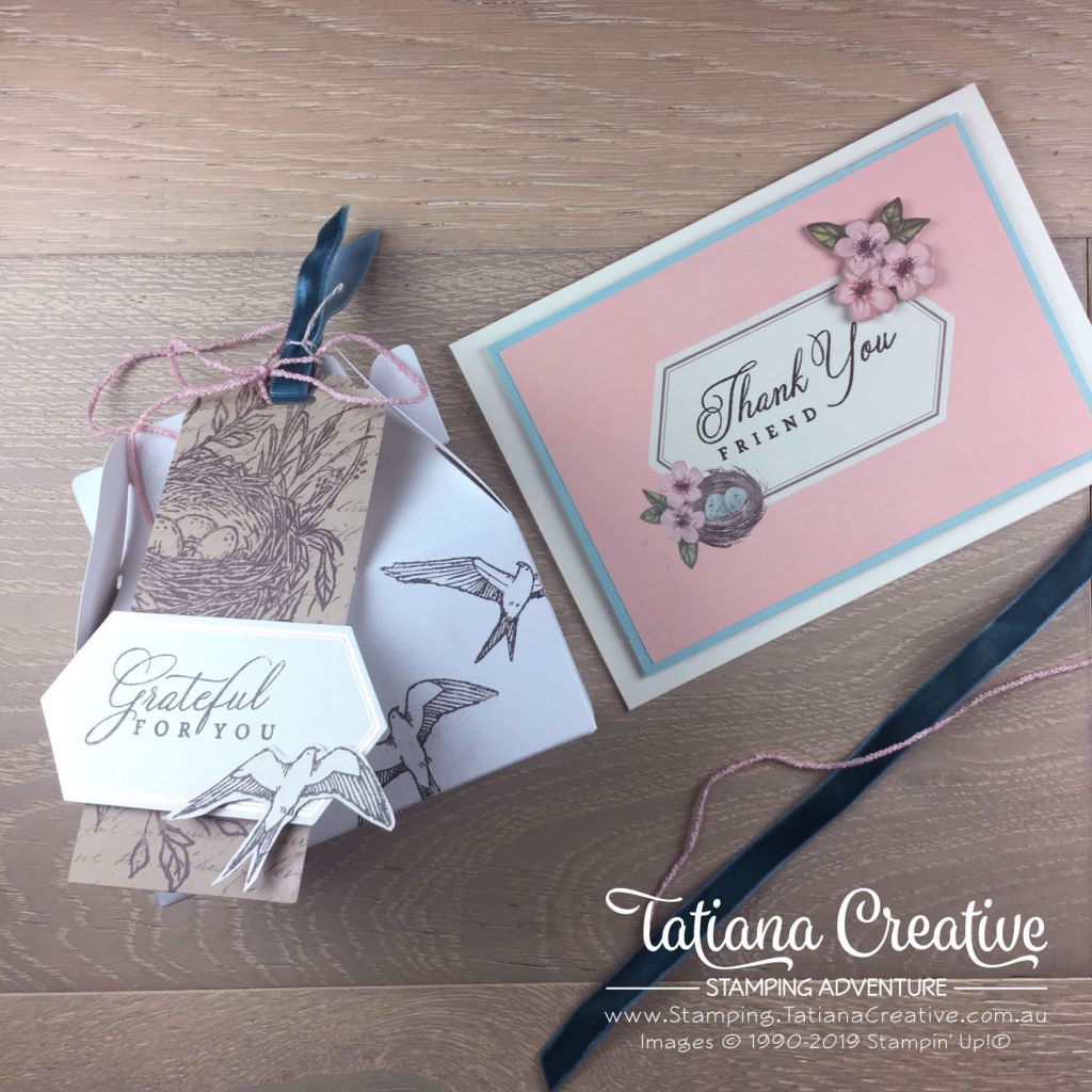 Tatiana Creative Stamping Adventure - Alternative Project using the May 2019 Paper Pumpkin Hugs From Shelli by Stampin' Up!®