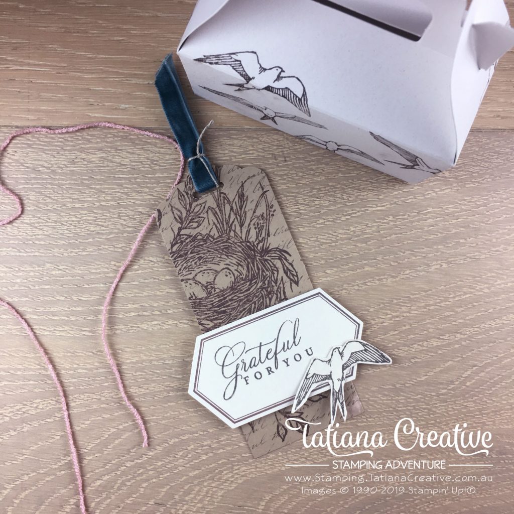 Tatiana Creative Stamping Adventure - Alternative Project using the May 2019 Paper Pumpkin Hugs From Shelli by Stampin' Up!®