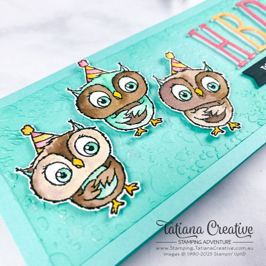 Tatiana Creative Stamping Adventure - Slimline Birthday Card using SAB Adorable Owls stamp set from Stampin' Up!®