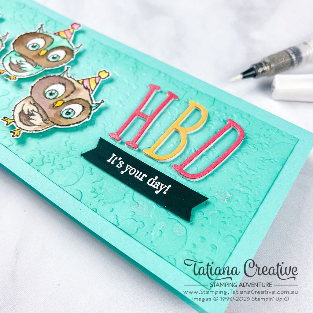 Tatiana Creative Stamping Adventure - Slimline Birthday Card using SAB Adorable Owls stamp set from Stampin' Up!®