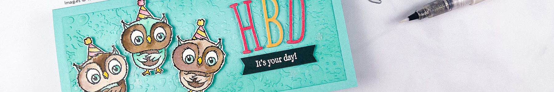 Adorable Owls Slimline Birthday Card with Video